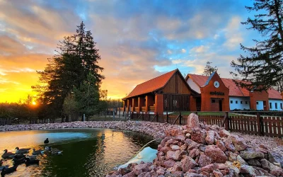 ENTDECKEN SIE DIE TIERWELT UNSERES LANDES! – HAUS DES WALDES