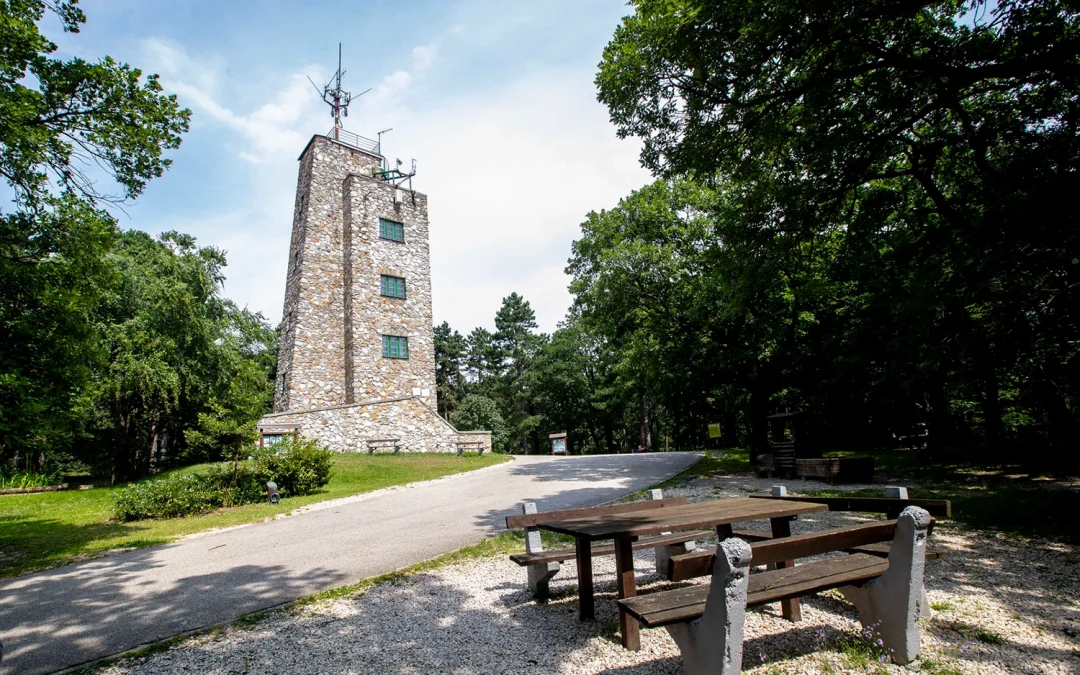 A KÖRNYÉK LEGSZEBB PANORÁMÁJA – KÁROLY-KILÁTÓ