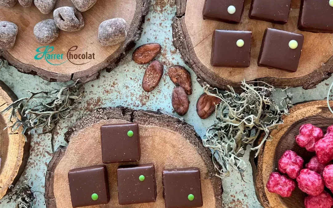 CSOKOLÁDÉKÓSTOLÓ A HARRER MŰHELYÉBEN