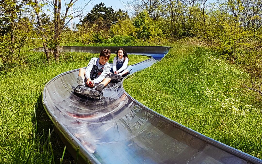 Sopron Toboggan Park